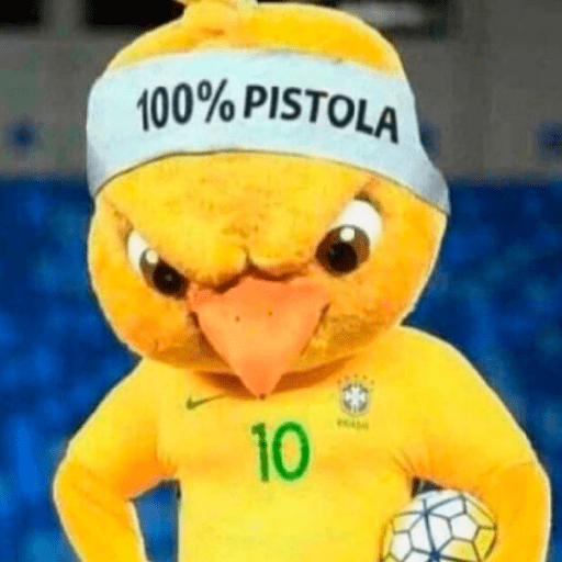 VAI BRASIL 🇧🇷💚💛 13