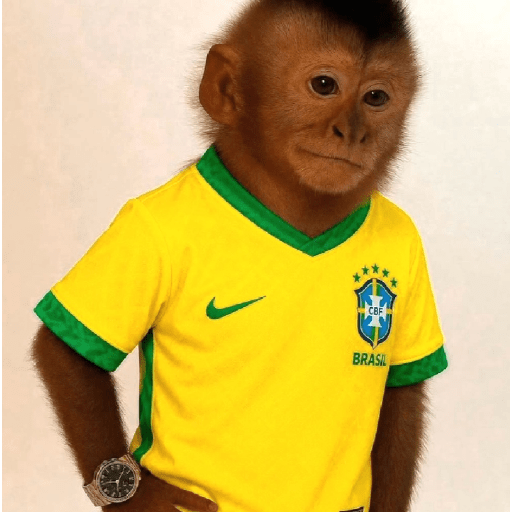VAI BRASIL 🇧🇷💚💛 16
