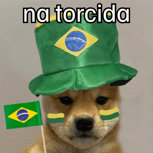 VAI BRASIL 🇧🇷💚💛 28