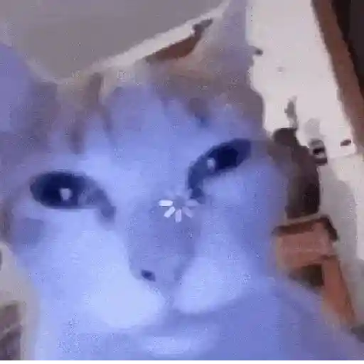 Cat loading