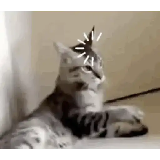 Cat loading