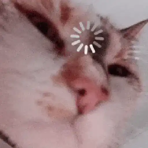Cat loading