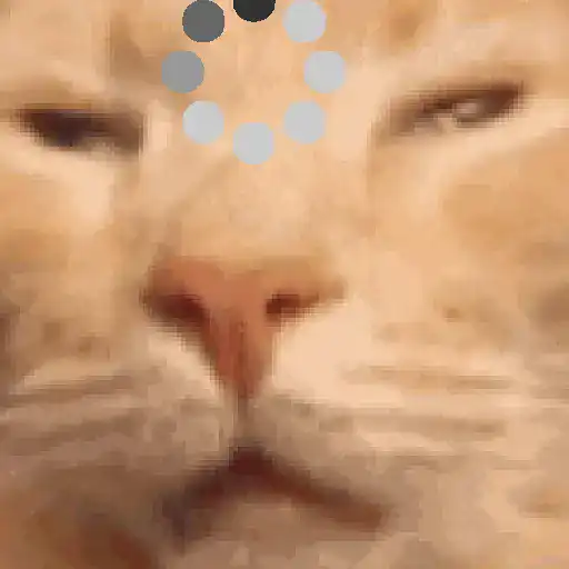 Cat loading