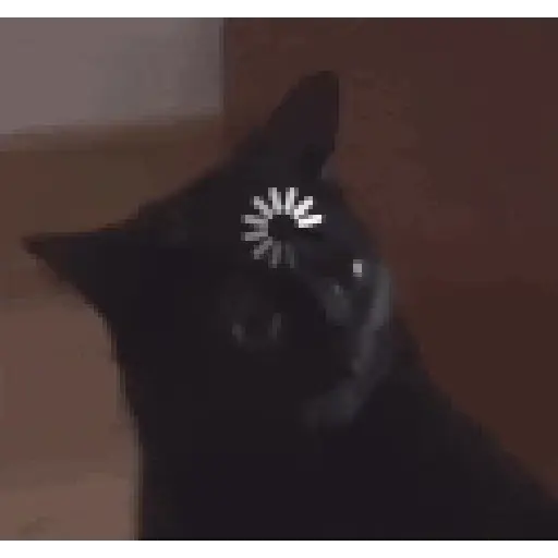Cat loading