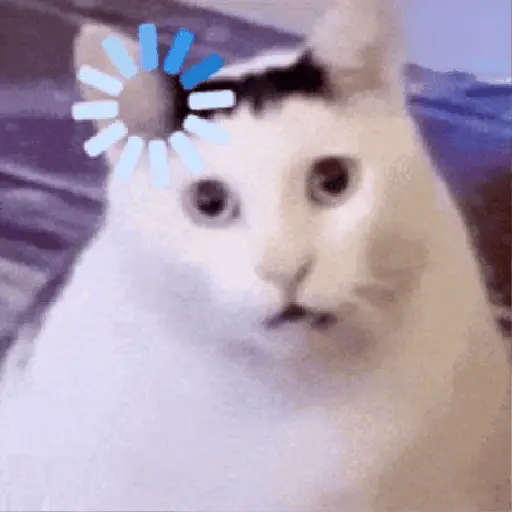 Cat loading