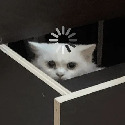 Cat loading