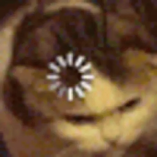 Cat loading