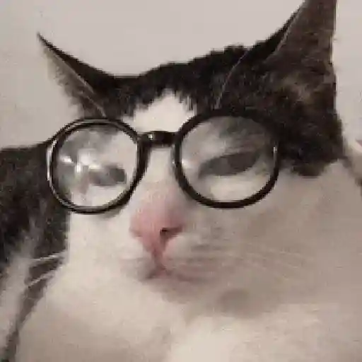 Gatinhos animados
