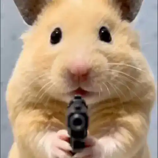 Peteco Peteco Peteco