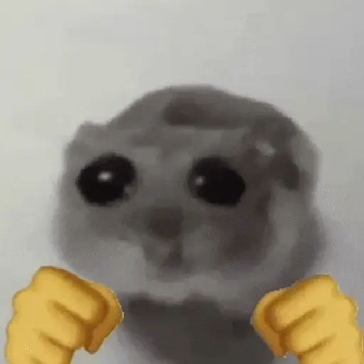 Cute Hamster