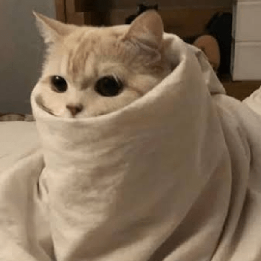 Que friooooo 16