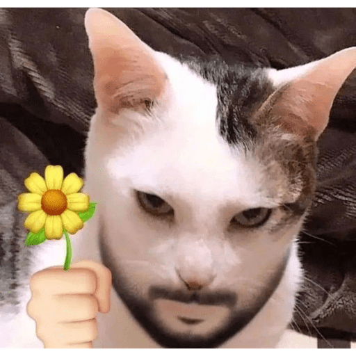 LALALALALA 30