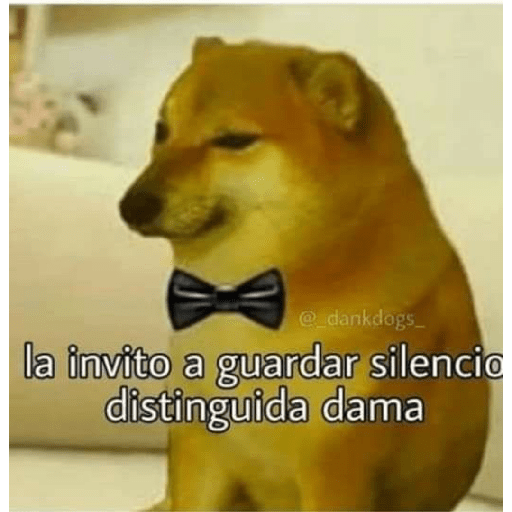 🤙Perros sin contexto 26
