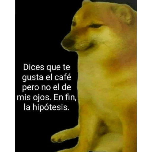 🤙Perros sin contexto 25
