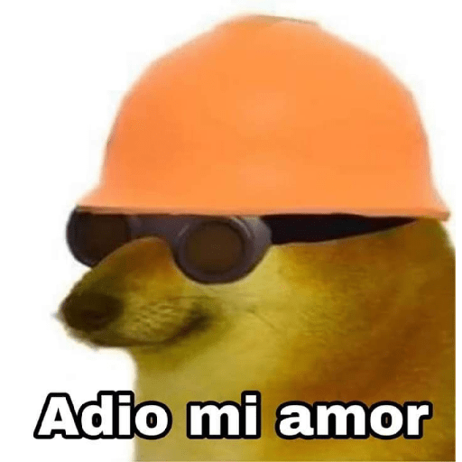 🤙Perros sin contexto 24