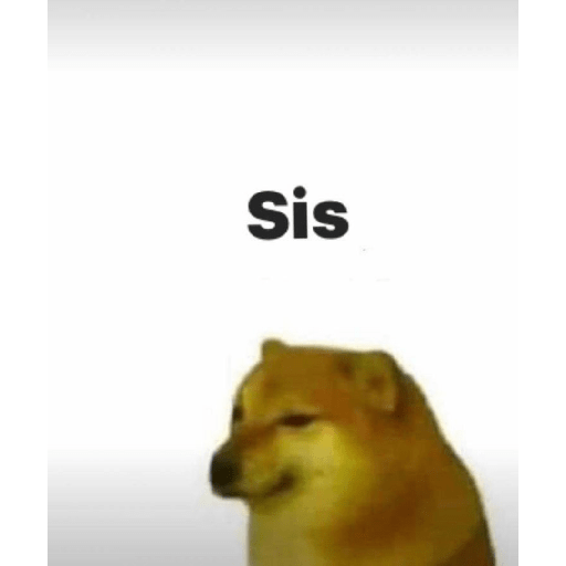 🤙Perros sin contexto 23