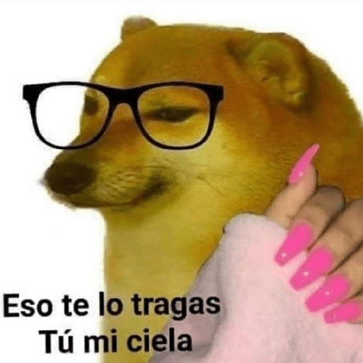 🤙Perros sin contexto 22