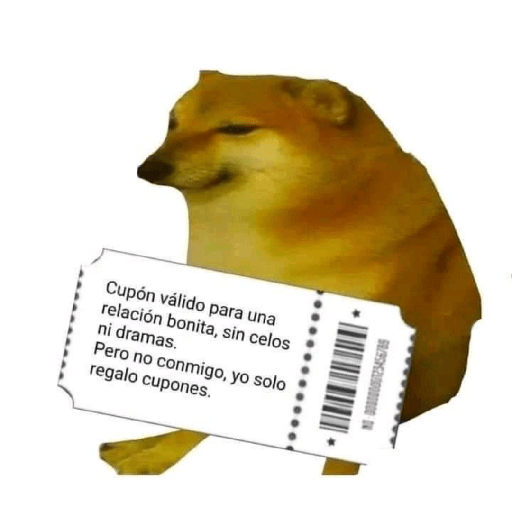 🤙Perros sin contexto 21