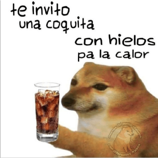 🤙Perros sin contexto 19