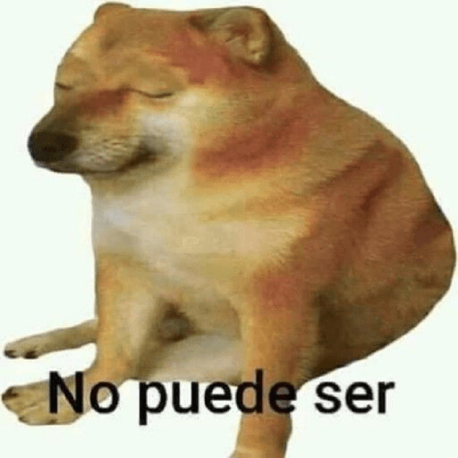 🤙Perros sin contexto 15