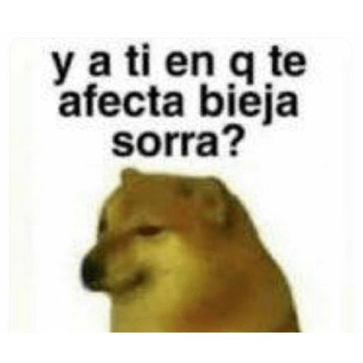 🤙Perros sin contexto 14