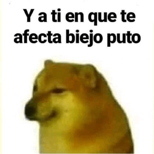 🤙Perros sin contexto 13
