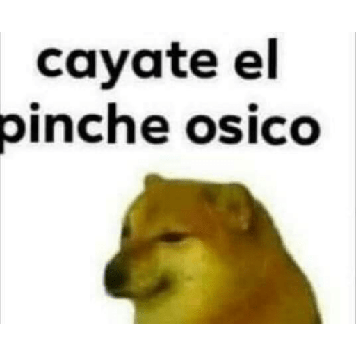 🤙Perros sin contexto 12