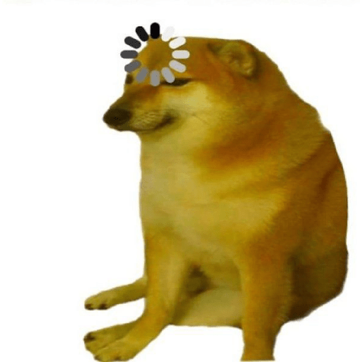 🤙Perros sin contexto 10