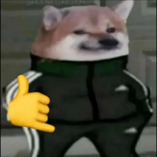 🤙Perros sin contexto 6