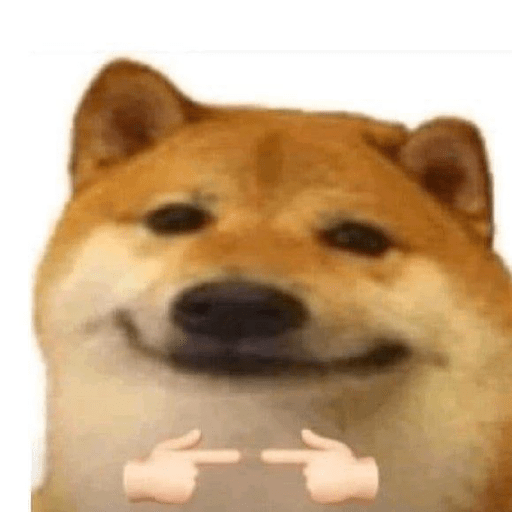 🤙Perros sin contexto 3