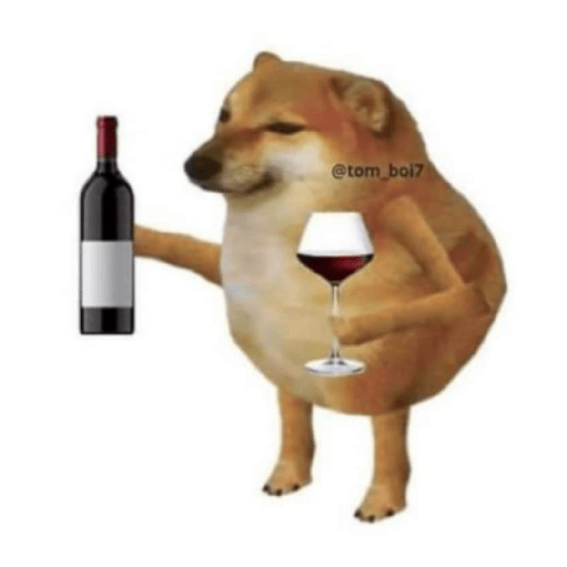 🤙Perros sin contexto 2