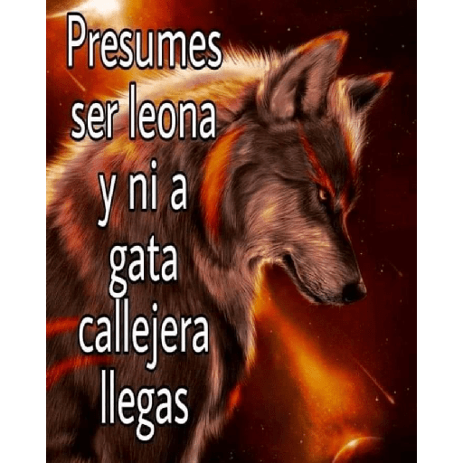 Nodoymas 22