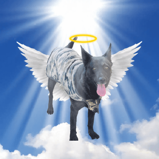 Nodoymas 7