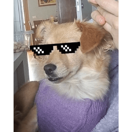 Sticker Image