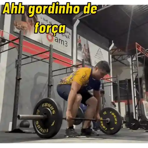 Animadas  16