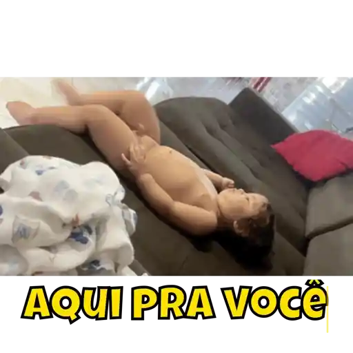 Animadas  6