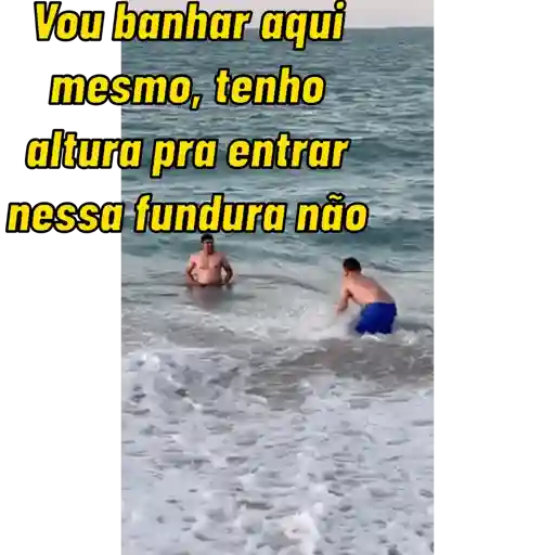 Animadas  14