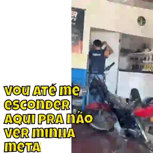 Animadas  5