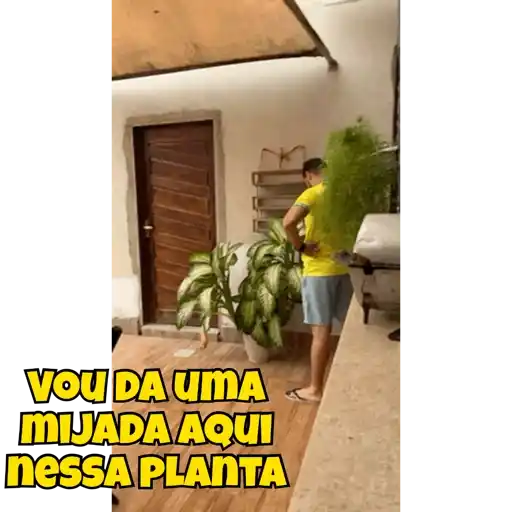 Animadas  20
