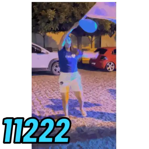 Animadas  15