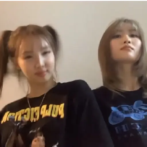 ❨  ★   ❩  ˑ—  Twice 1