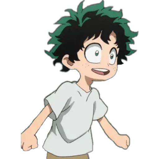 Boku No Hero Academia