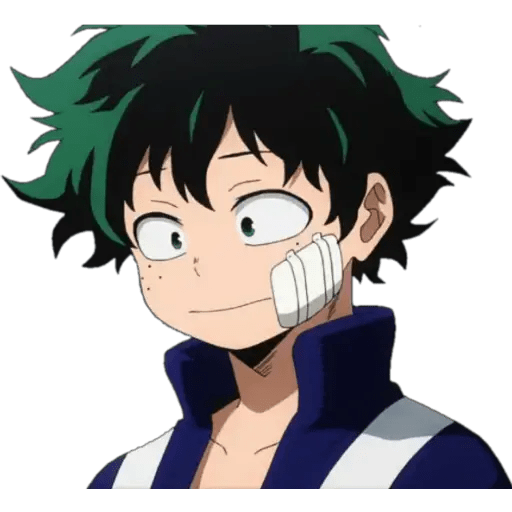 Boku No Hero Academia