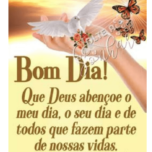 Bom dia-Boa tarde/@bibi_dive 