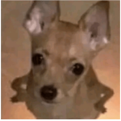 Tumalditamadre 24
