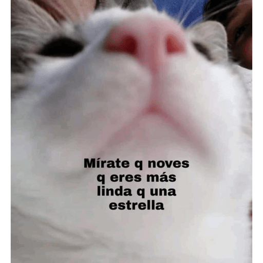 Comedias Rubias 12