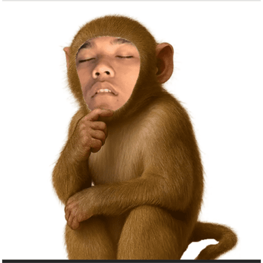 DUTA MEDEM 2