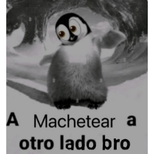 NOSEQUEPONER?????  27