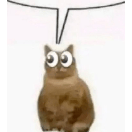 NOSEQUEPONER?????  25