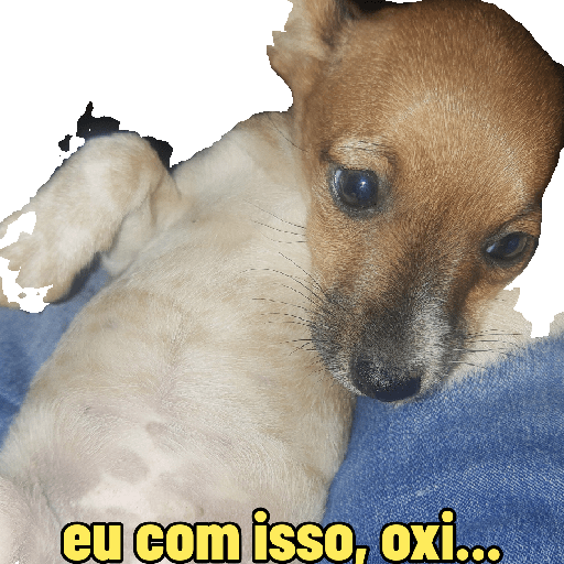 Doguinha 1.0